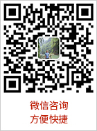 微信咨询